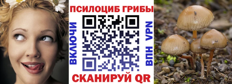 Псилоцибиновые грибы мухоморы  Купить  Лыткарино 